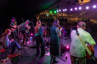 Greenman photocredit neil king 1